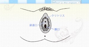 dvd2011_06