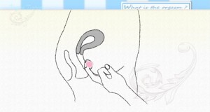 dvd2011_07