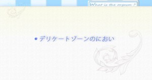 dvd2011_11