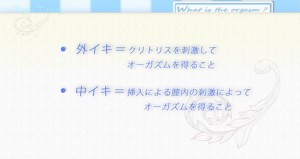 dvd2011_14