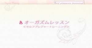 dvd2011_16