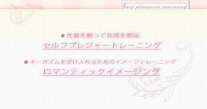dvd2011_17