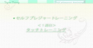 dvd2011_22