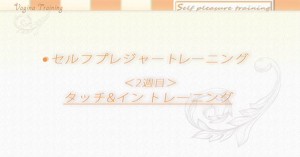 dvd2011_26