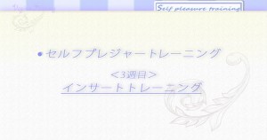 dvd2011_28