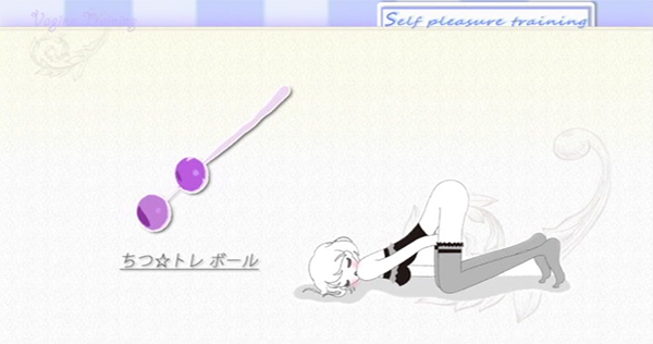 dvd2011_31